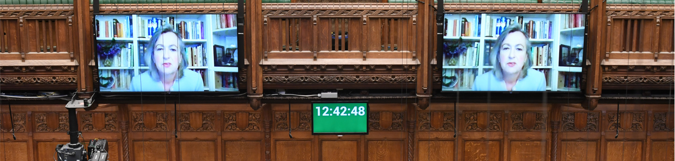 Image of parliament meeting virtually.