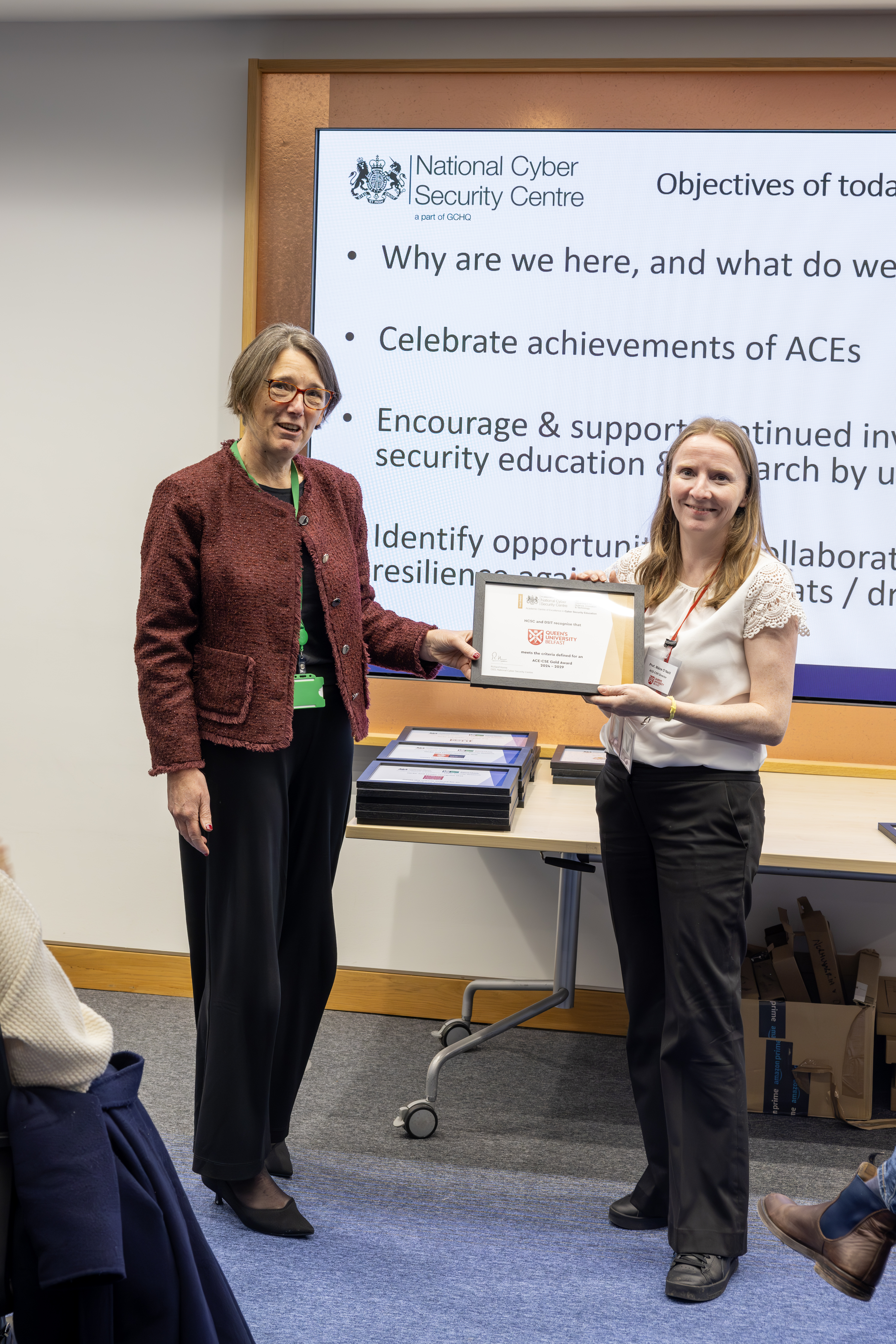 Prof Maire O’Neill - ACE-CSR Director receiving the Gold ACE-CSE award on behalf of Queen’s University Bel-fast.