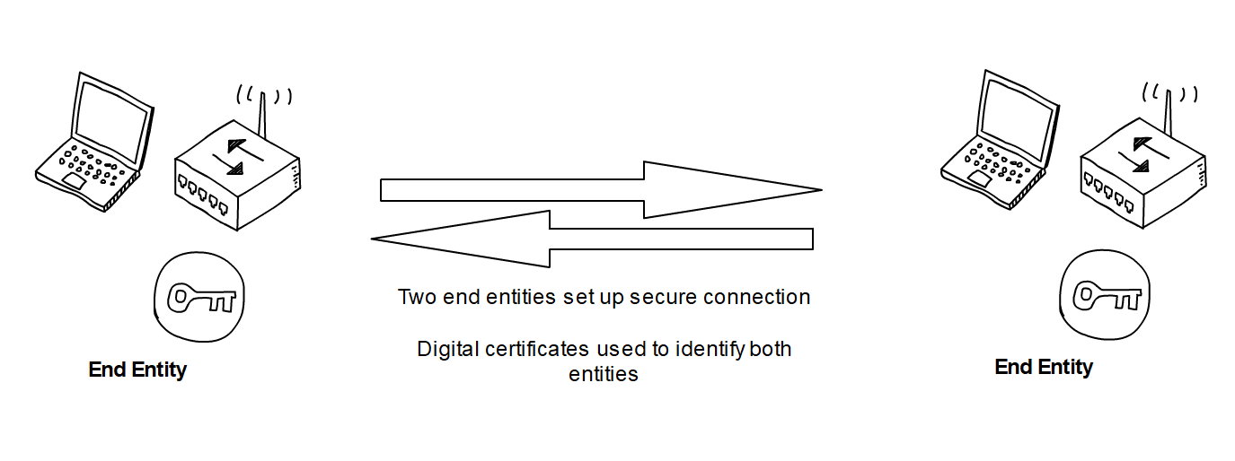 image shows set up as just described