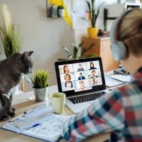 Portrait of modern woman at home teleconferencing with colleagues while cuddling her cat