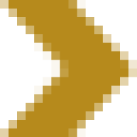 decorative image