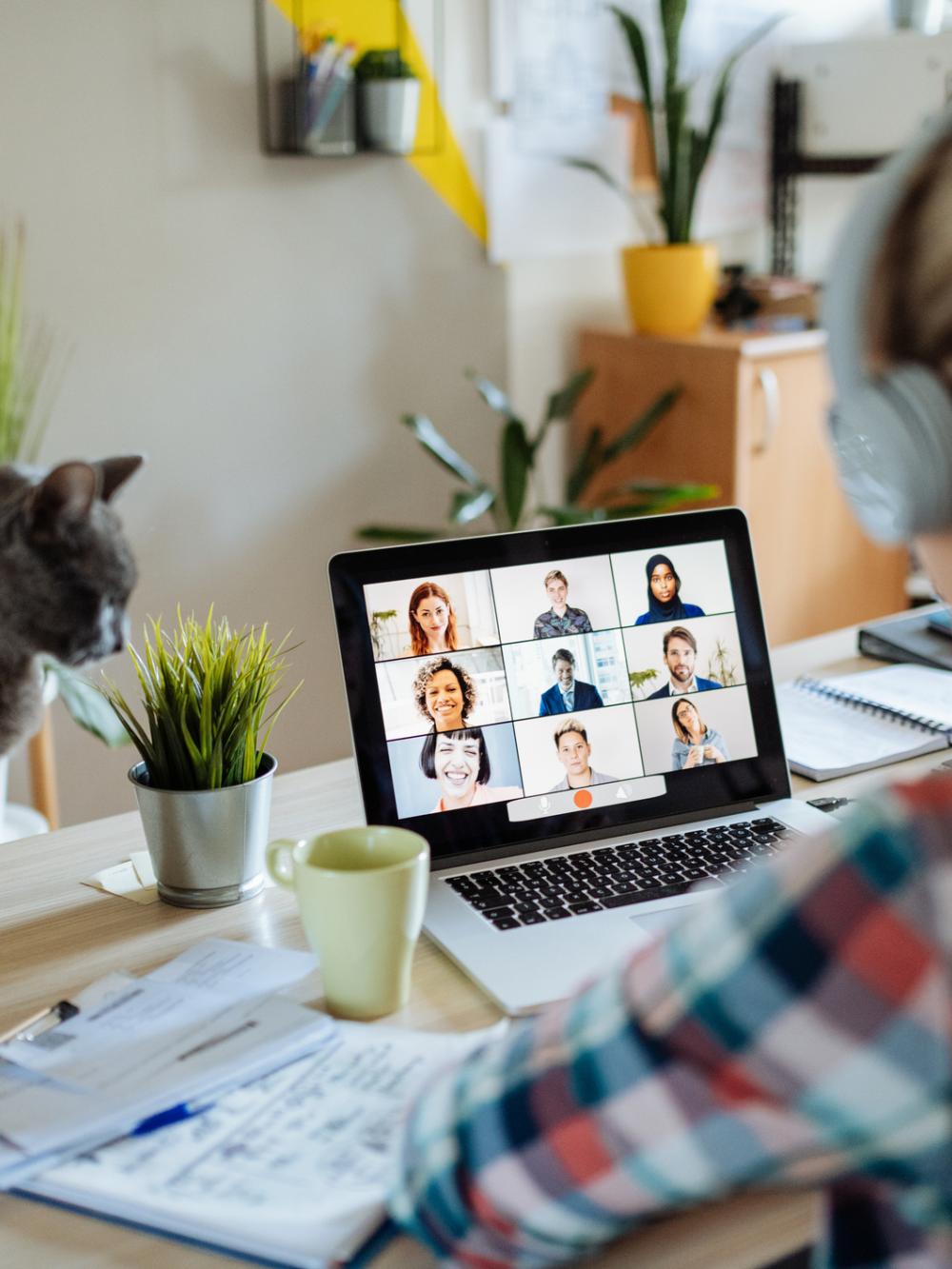 Portrait of modern woman at home teleconferencing with colleagues while cuddling her cat
