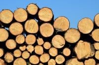 Pile of logs
